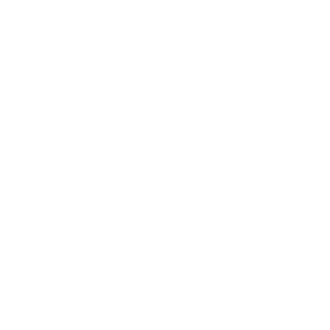 thebodyshop logo
